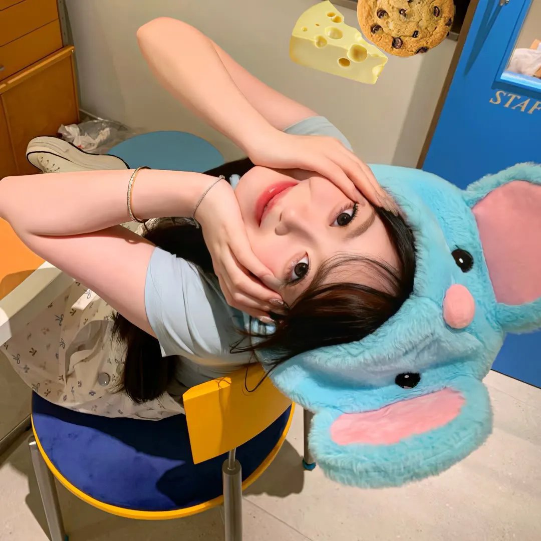 猎头行动
