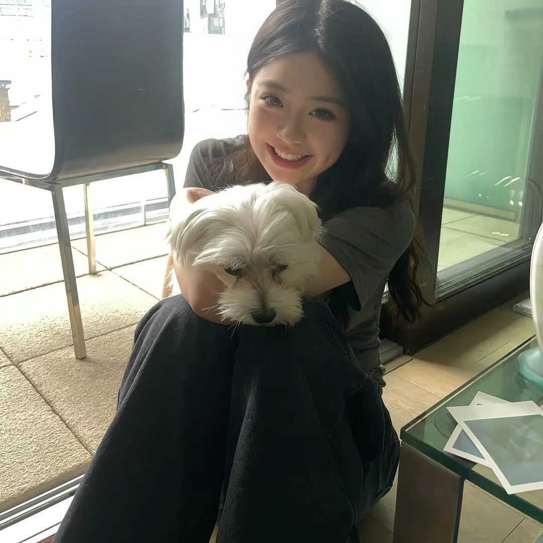 东线无归途